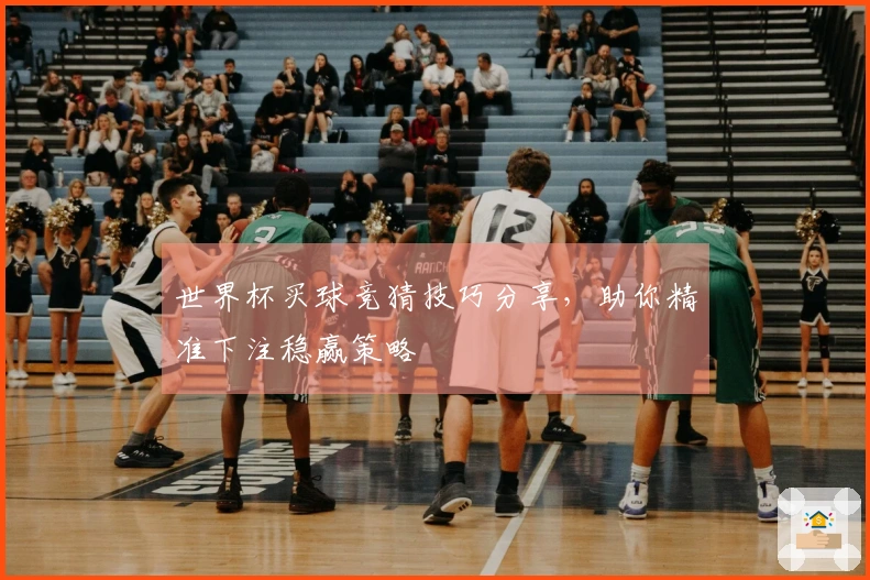 世界杯买球竞猜技巧分享，助你精准下注稳赢策略