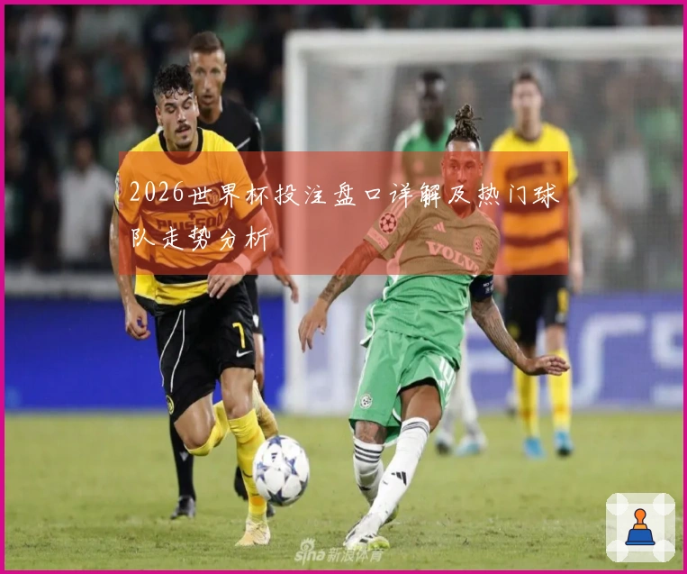 2026世界杯投注盘口详解及热门球队走势分析
