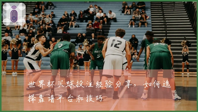 世界杯买球投注经验分享，如何选择靠谱平台和技巧