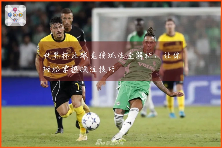 世界杯让球竞猜玩法全解析，让你轻松掌握投注技巧