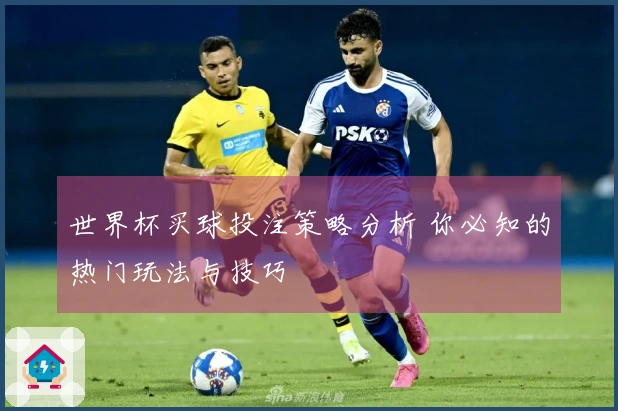 世界杯买球投注策略分析 你必知的热门玩法与技巧