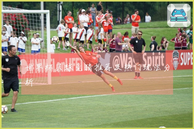 世界杯买球竞猜推荐及热门玩法分析