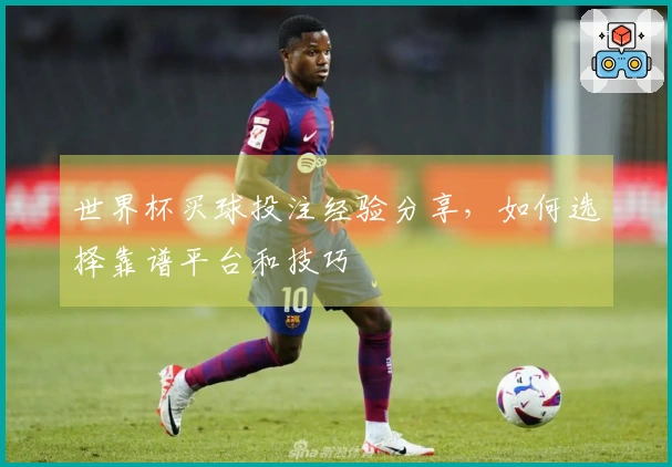 世界杯买球投注经验分享，如何选择靠谱平台和技巧