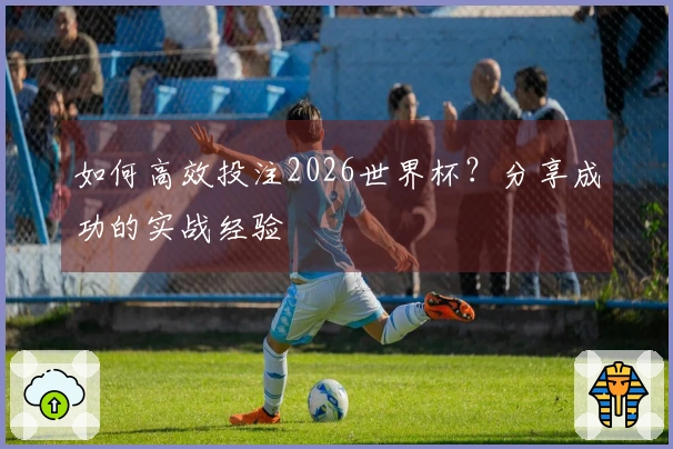 如何高效投注2026世界杯？分享成功的实战经验