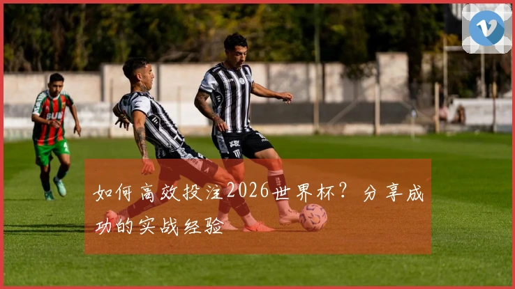 如何高效投注2026世界杯？分享成功的实战经验