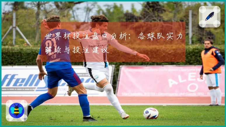 世界杯投注盘口分析：各球队实力解读与投注建议