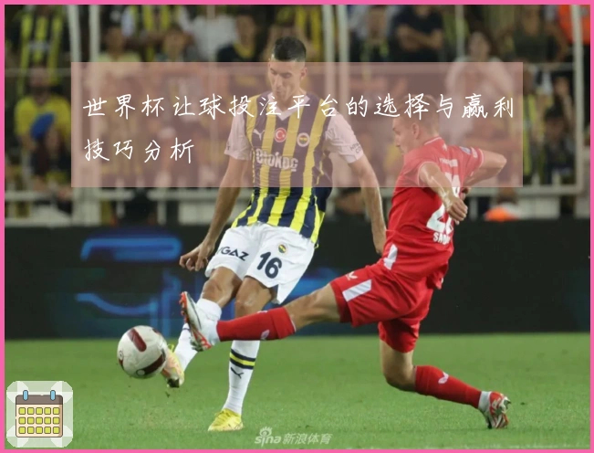 世界杯让球投注平台的选择与赢利技巧分析